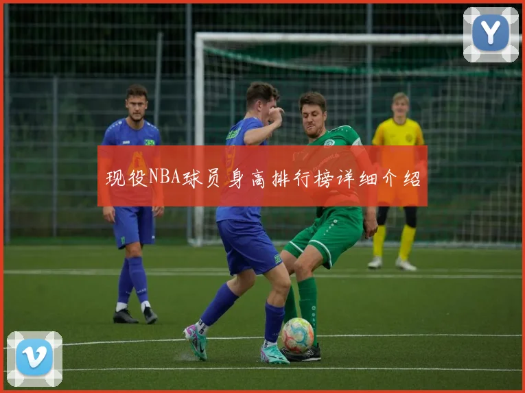 现役NBA球员身高排行榜详细介绍