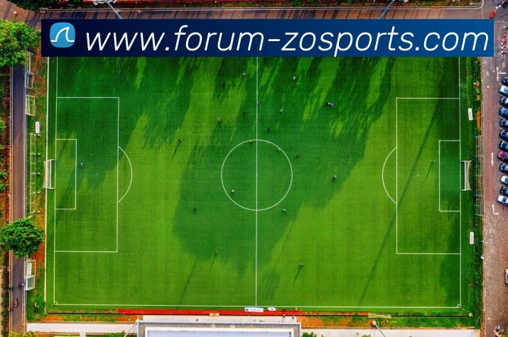 中欧体育服务体系